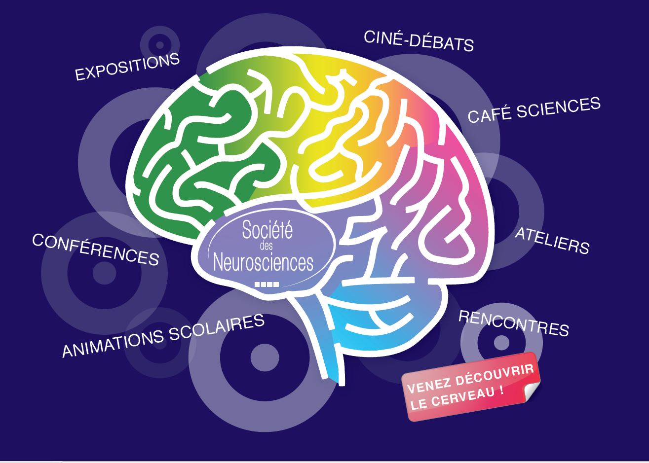 La société des neurosciences se mobilise pour la semaine du cerveau